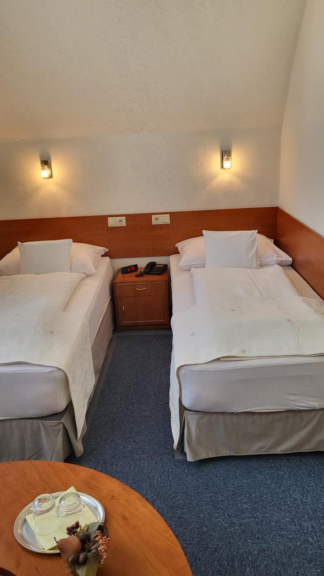 Hotel Margit Trenčianske Teplice Dış mekan fotoğraf